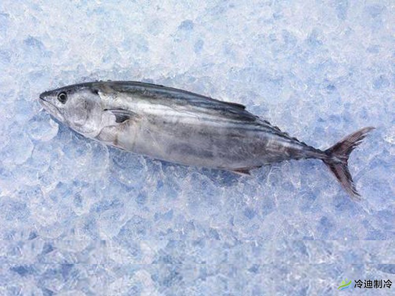 超低溫冷庫溫度造價和優(yōu)點(圖1) 超低溫冷庫溫度造價和優(yōu)點(圖1)