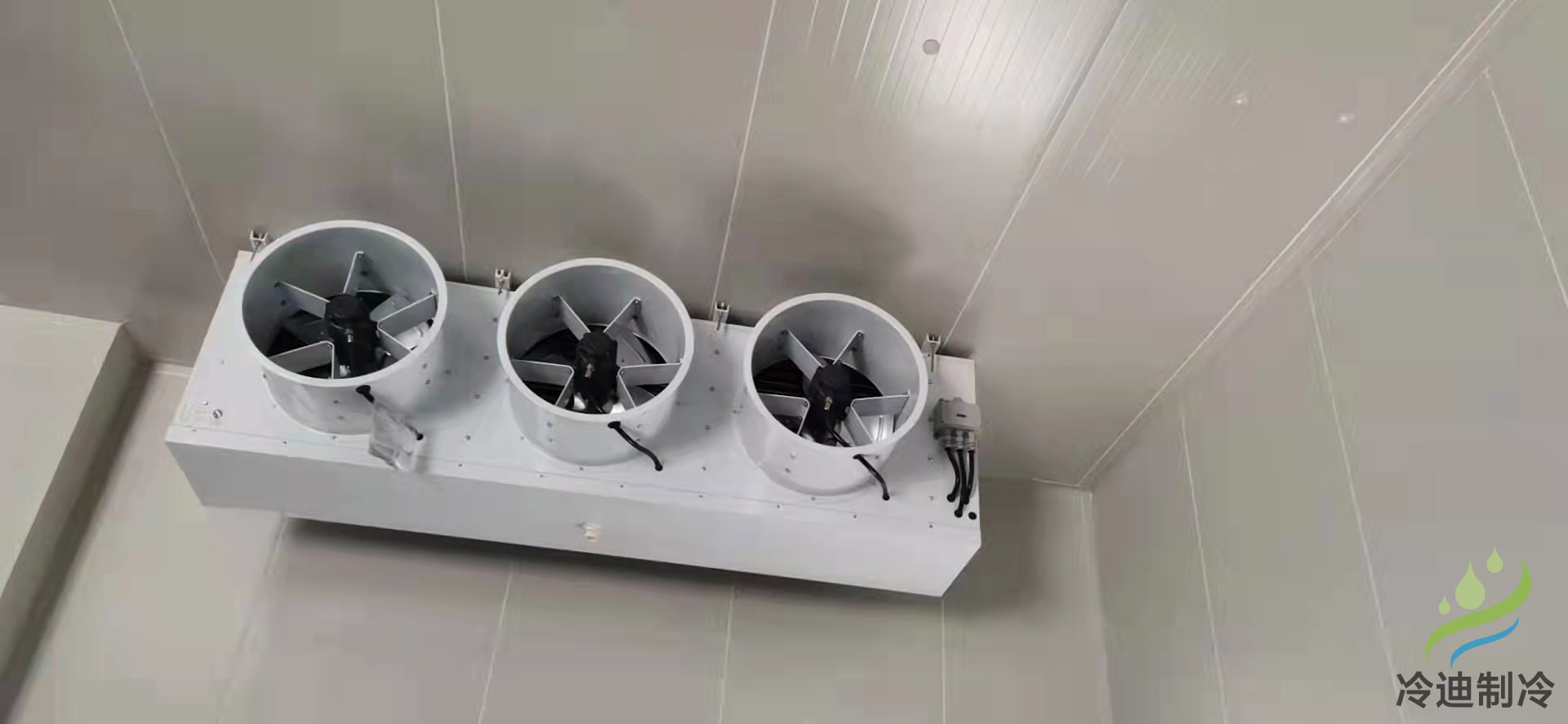 上海金山撫佳化工原料防爆冷庫(kù)安裝工程 上海金山撫佳化工原料防爆冷庫(kù)安裝工程