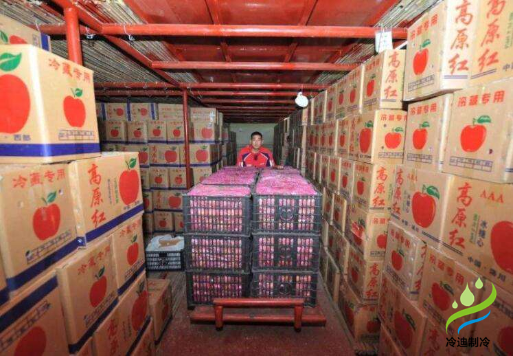 安裝一個(gè)蘋果保鮮冷庫大概多少錢？