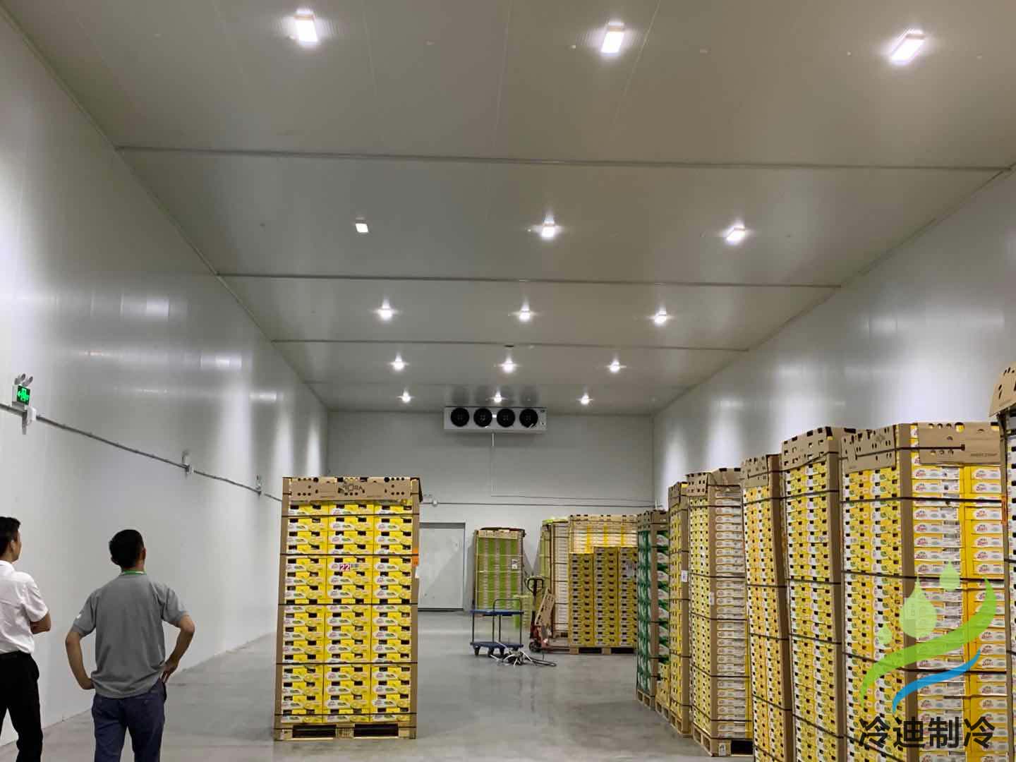 建造100平方棗子保鮮冷庫造價(jià)多少錢？