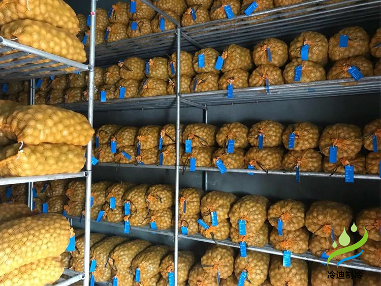 建造100噸土豆冷庫面積及冷庫造價多少錢？