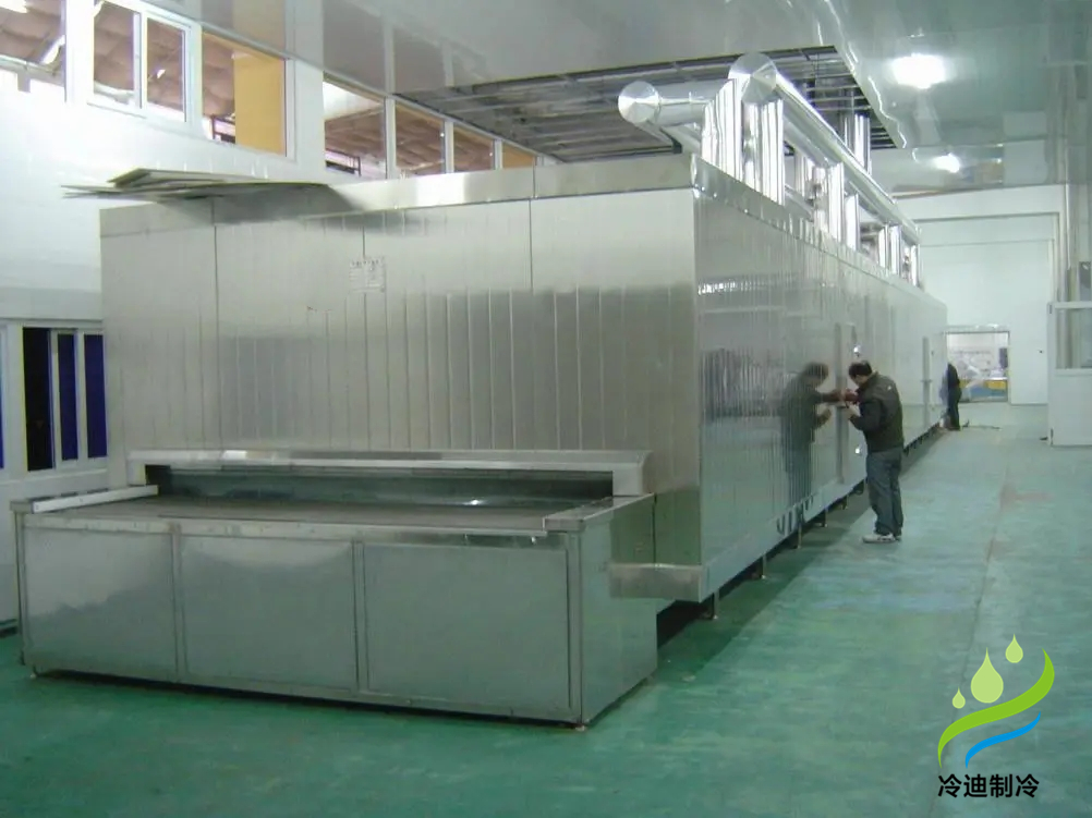 安裝一條速凍隧道大概需要花多少錢(qián)？