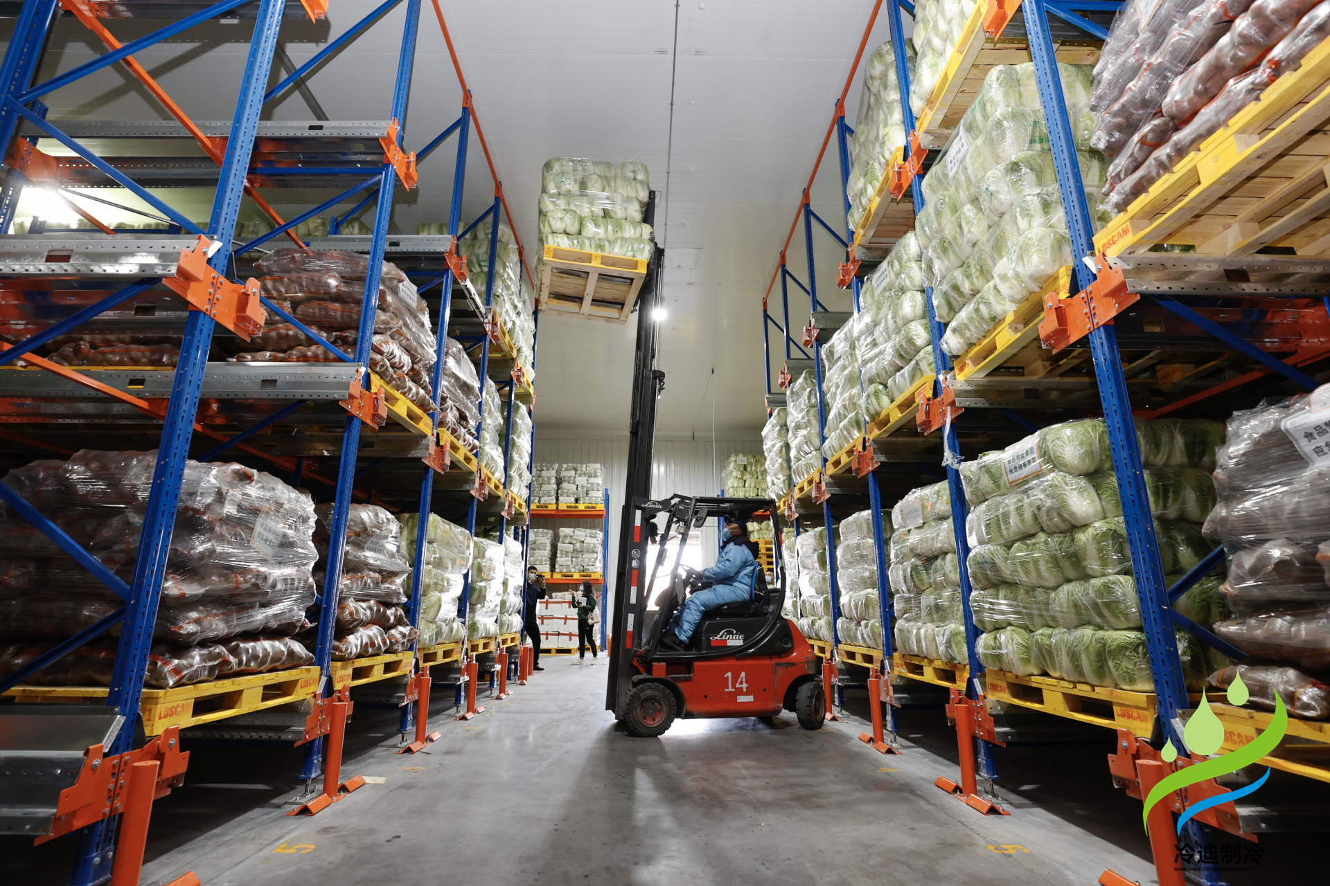 建造一個預冷冷庫需要多少錢？(圖2)